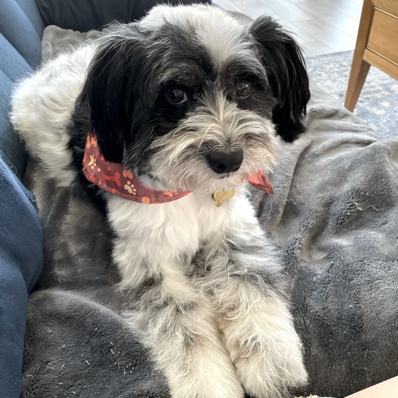 Meet your Posher, Karen - Picture 1 of 1